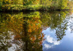 Bayfield lake reflection